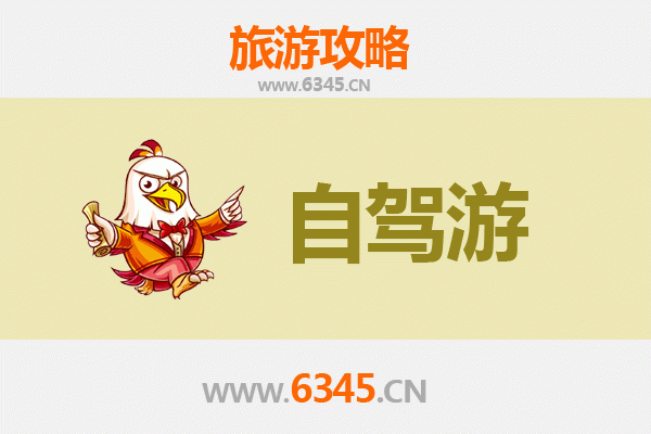 陵水国营吊罗山林业公司自驾游全攻略：雨林探秘与黎乡风情之旅