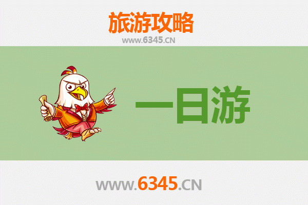 陵水国营吊罗山林业公司一日游攻略：雨林徒步与自然奇观全记录