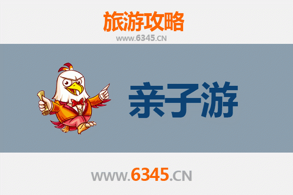 陵水国营吊罗山林业公司亲子游全攻略：雨林探秘与自然教育之旅