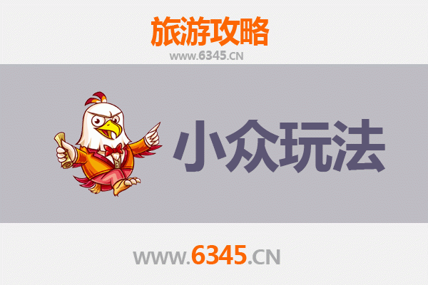 陵水吊罗山林业公司探秘：小众玩法与深度体验攻略