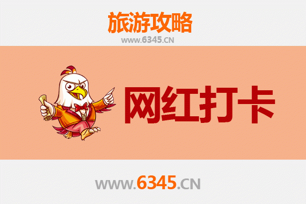 陵水吊罗山林业公司：探秘热带雨林中的网红打卡胜地